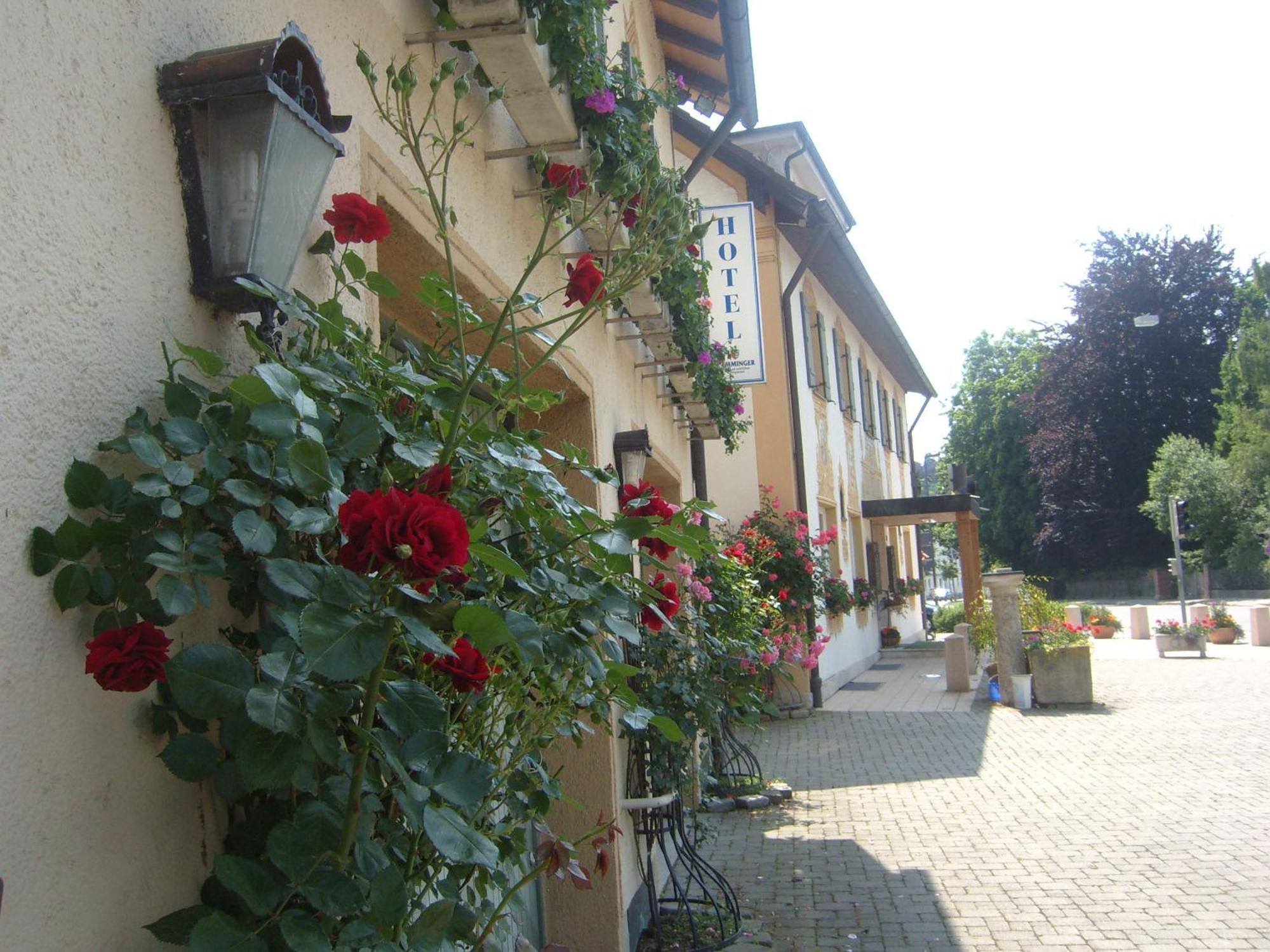 Hotel Gasthof Stern Mindelheim Luaran gambar